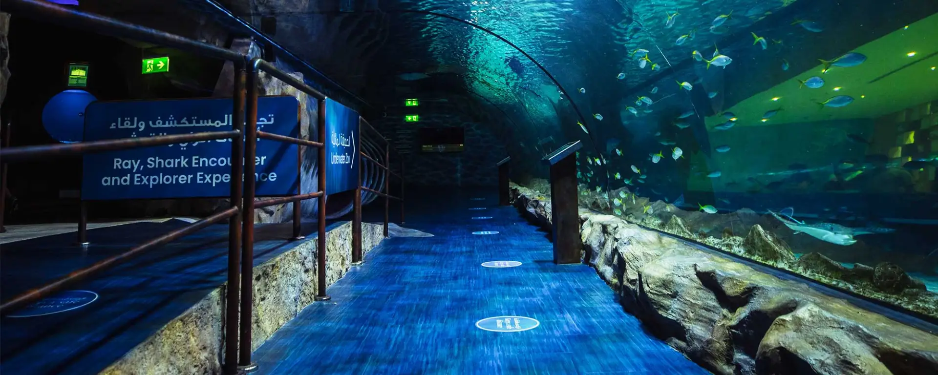 Essential Aquarium Equipment: A Comprehensive Guide for Freshwater and Marine Enthusiasts