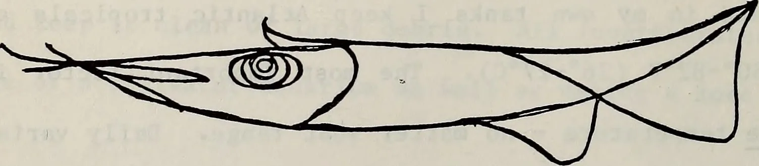 Culturing Infusoria for Fry