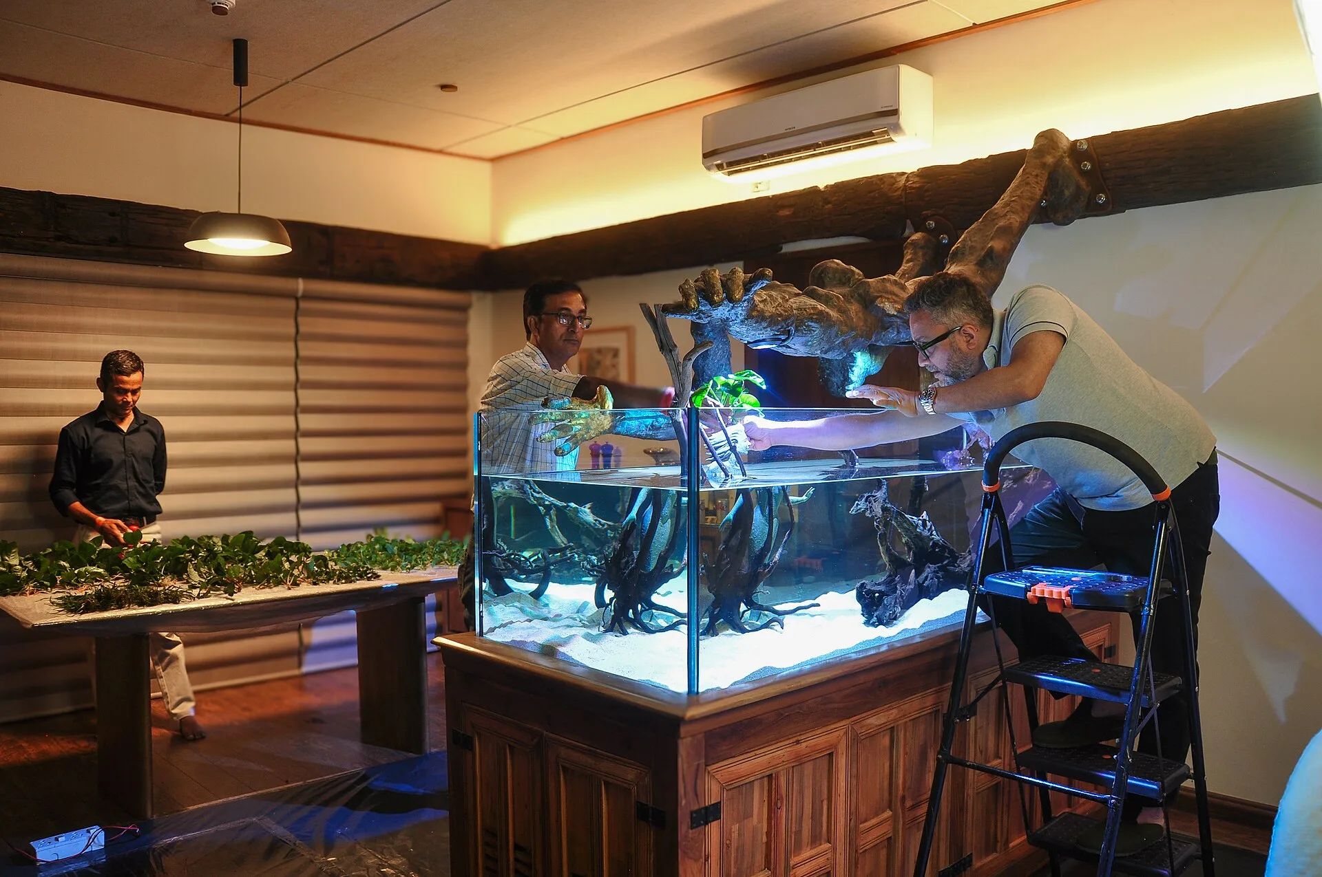 Hardscape-First Aquascaping Workflow