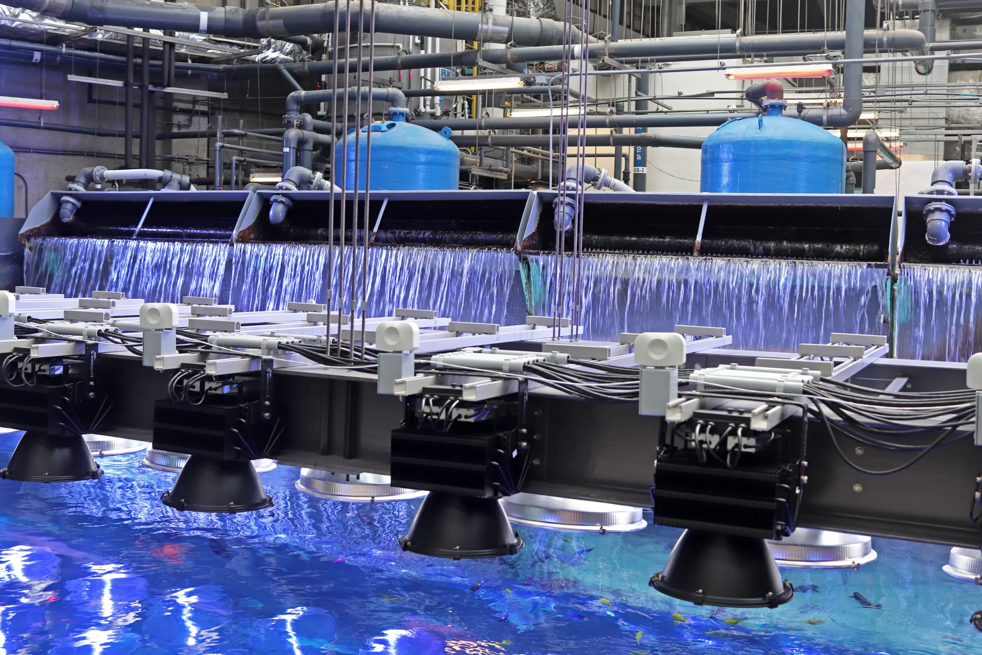 Phosphates in Reef and Freshwater