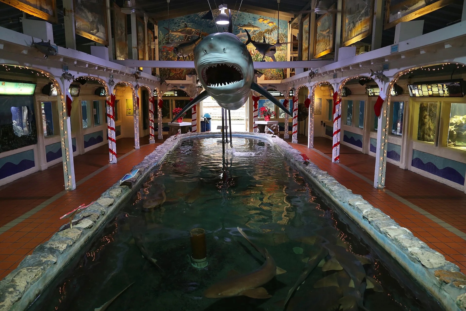 Vacation Aquarium Care Checklist