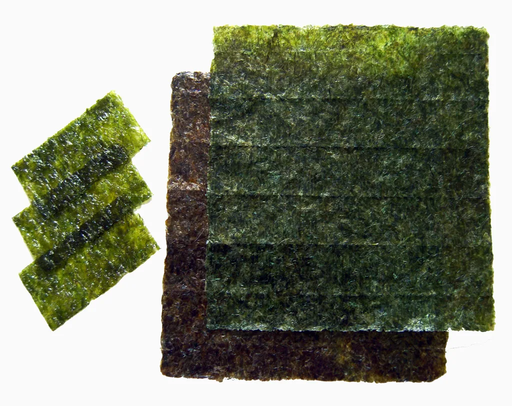 Nori Seaweed for Tangs and Plecos