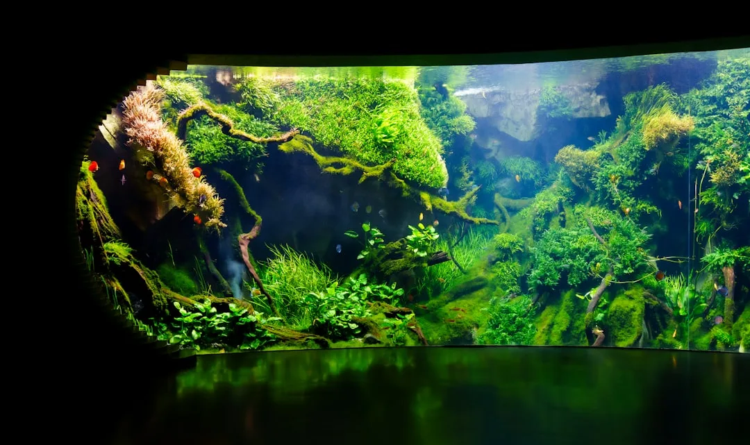 Un paisaje acuático verde exuberante con plantas acuáticas densas y musgo.