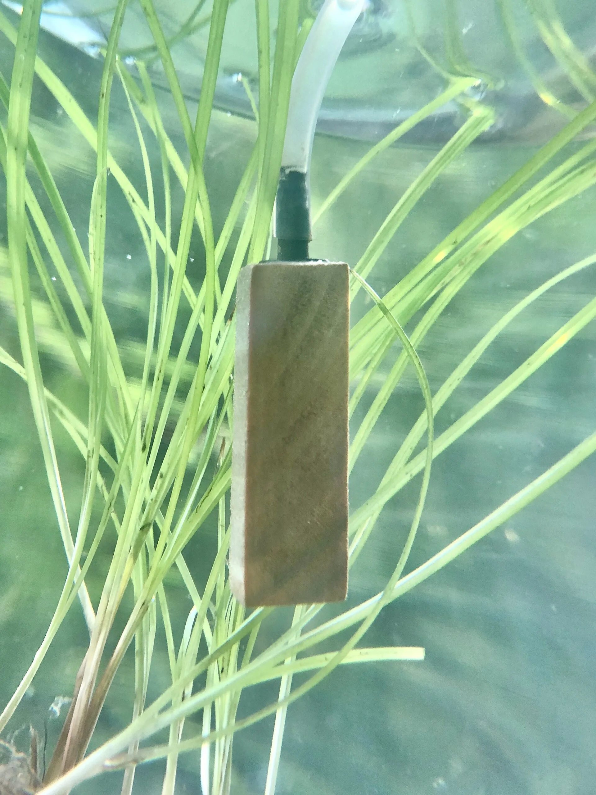 Aquarium air diffuser / air stone