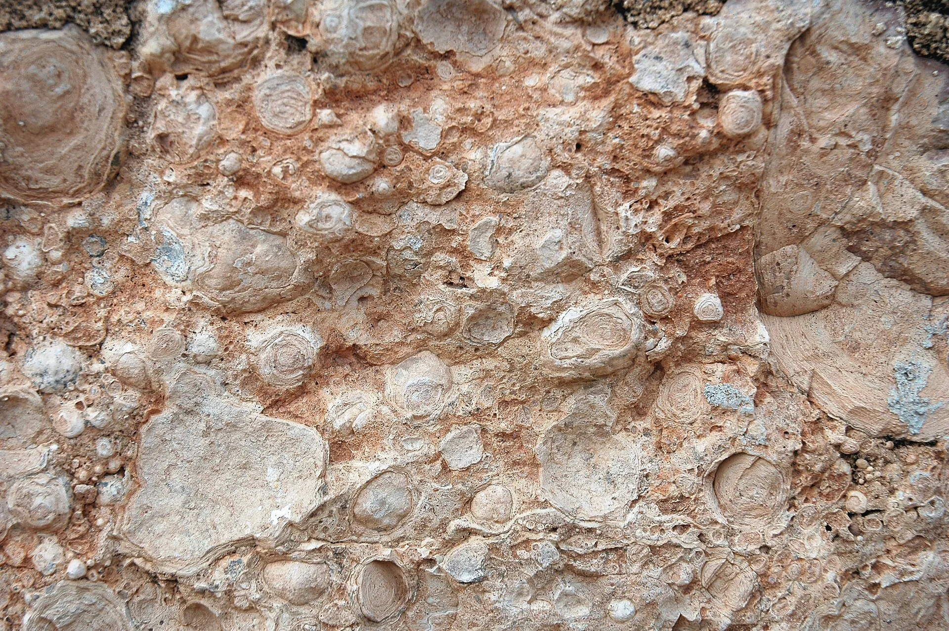 Limestone rock that reacts with acid — vinegar rock test
