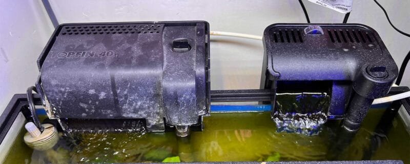 Filtration Systems for Aquariums