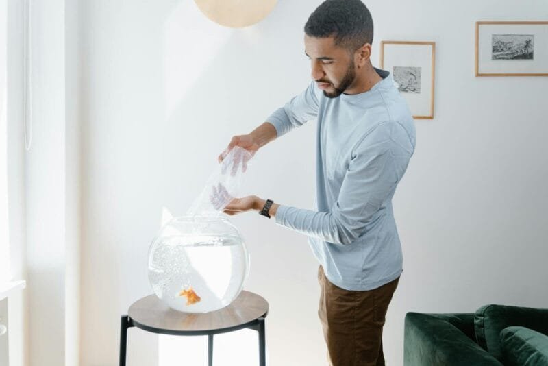 A man feeding a goldfish in a bowl inside a well-lit, contemporary room.