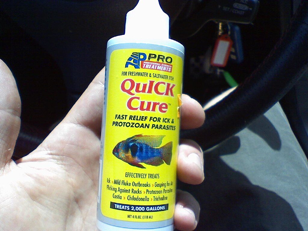 Stuff to make my sick fish better.